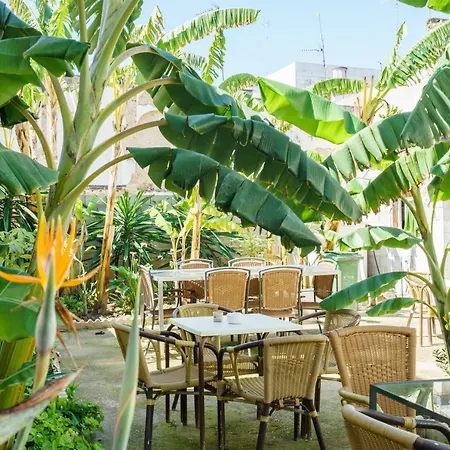 Hotel Carlos V Jerez By Vivere Jerez de la Frontera