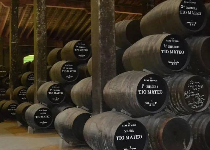 Carlos V Jerez By Vivere